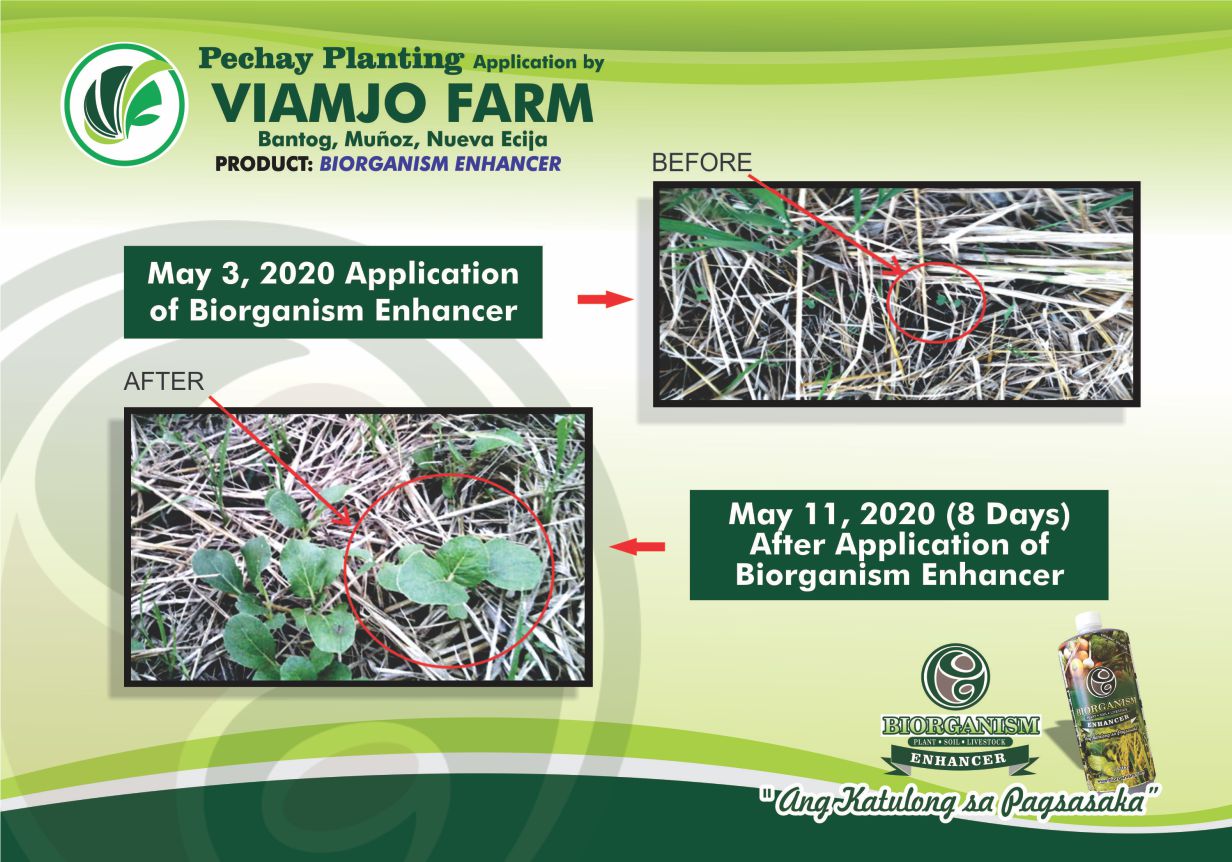 Viamio Application