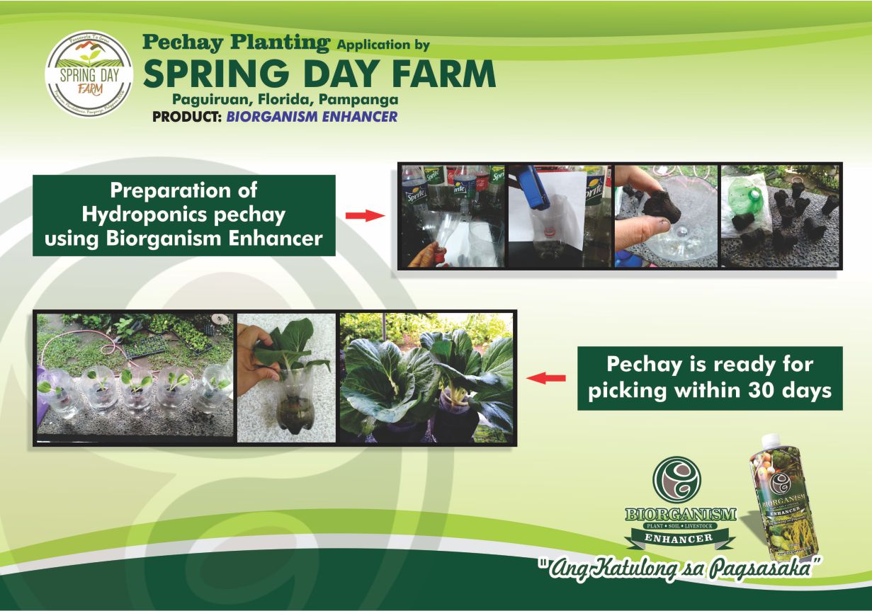 Spring Day Farm