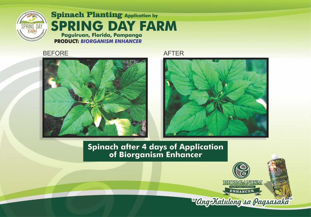 Spring Day Farm
