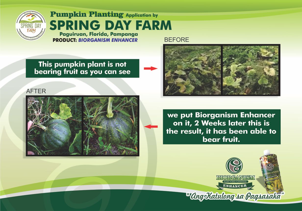 Spring Day Farm