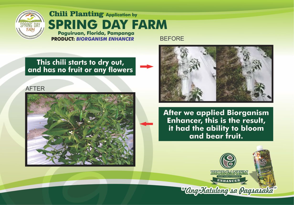 Spring Day Farm