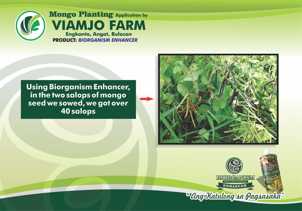 Viamio Application