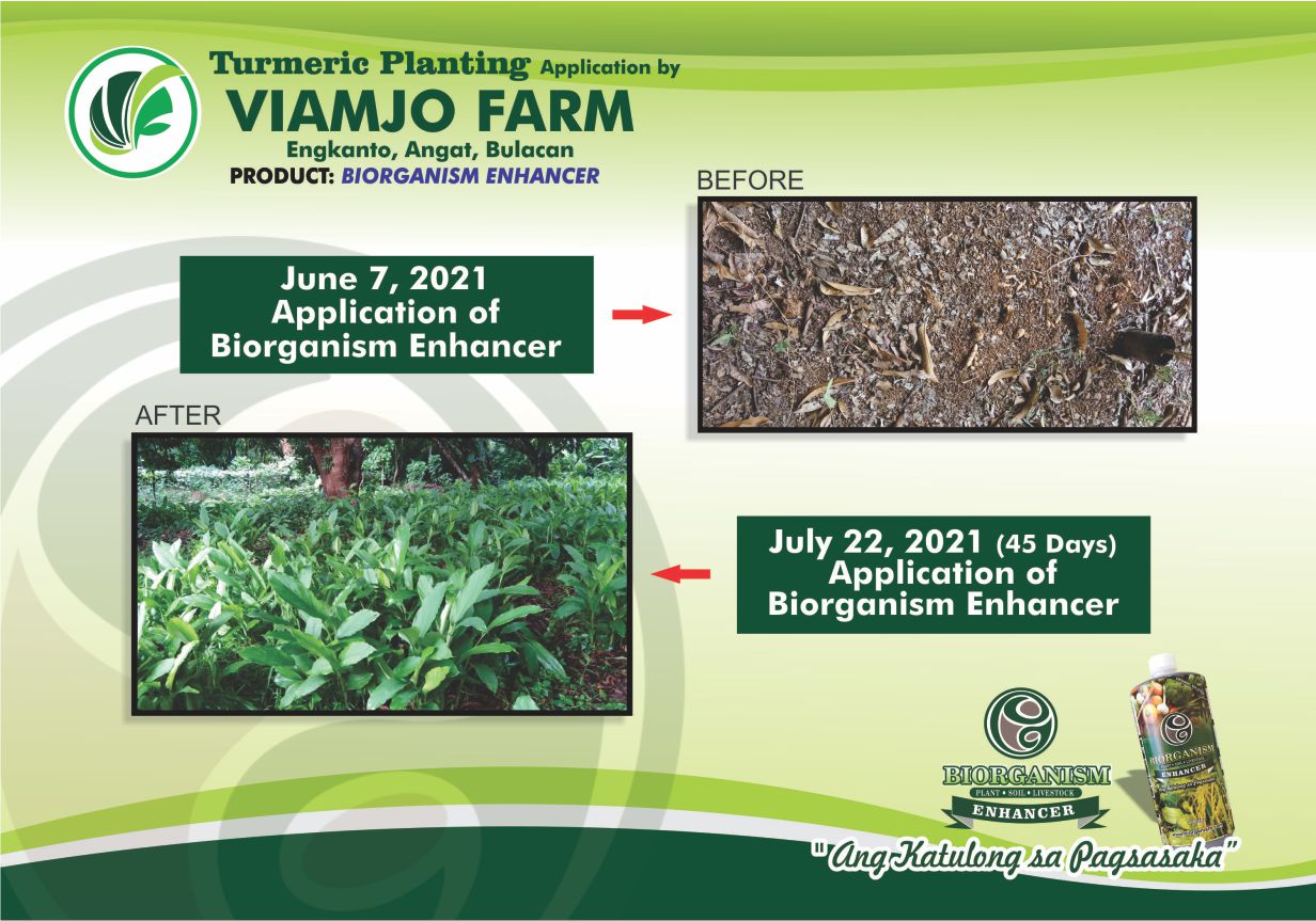 Viamio Application
