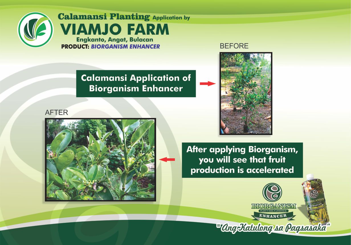 Viamio Application