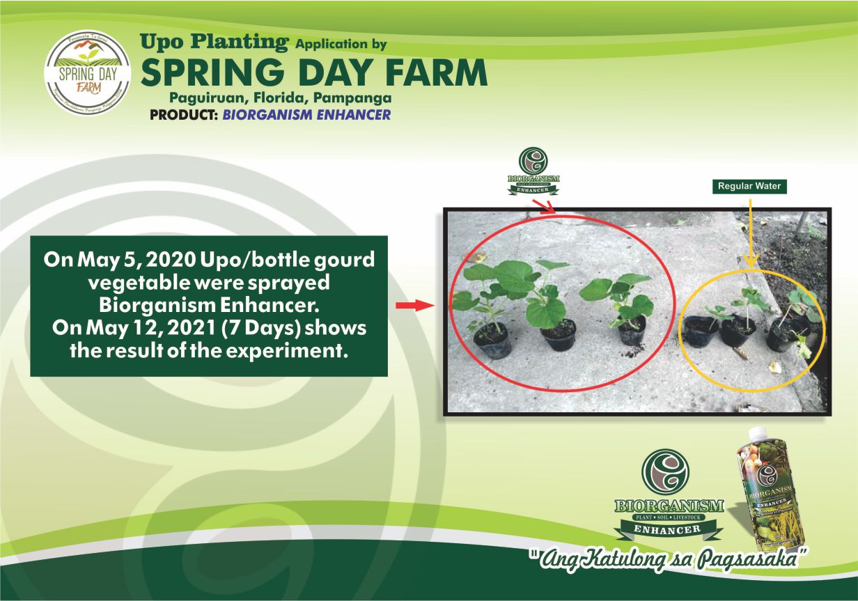 Spring Day Farm