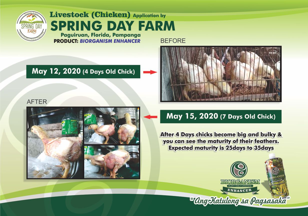Spring Day Farm