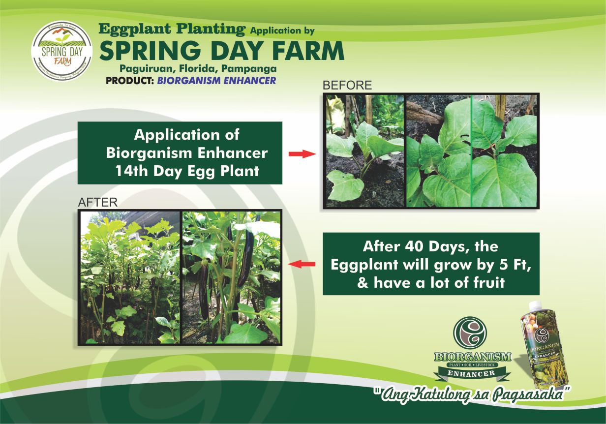 Spring Day Farm
