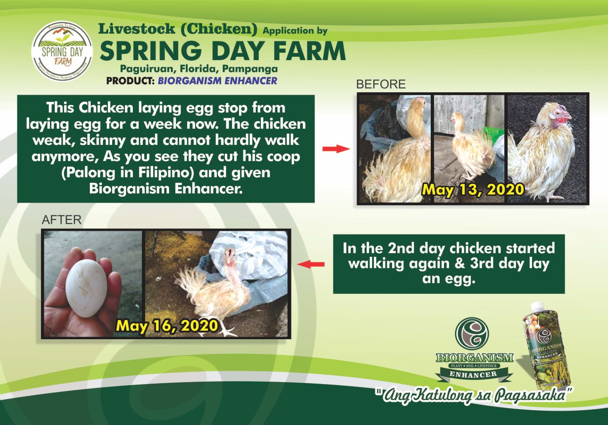Spring Day Farm