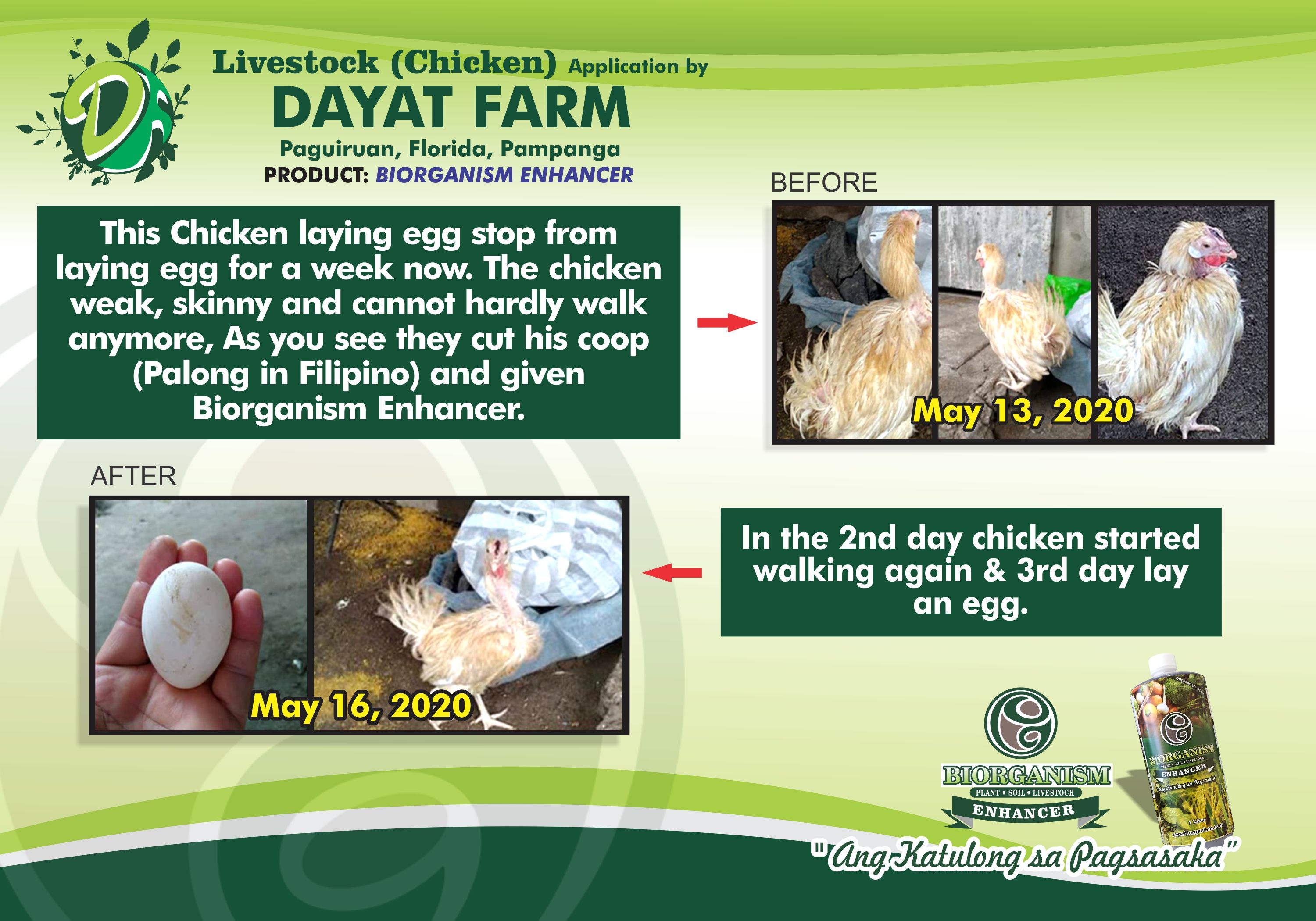 Dayat