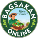 Bagsakan Online