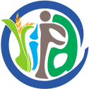 Logo 9