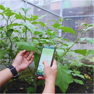 Precision Agriculture